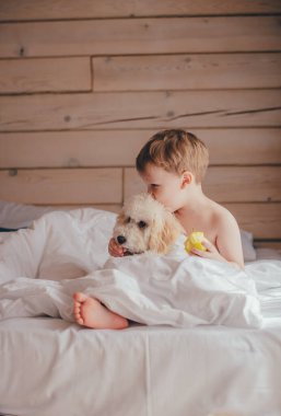 Beyaz yatakta 5 yaşında bir çocuk bir kanişi elmayla besliyor ve onu öpüyor..