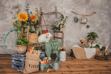 Kırsal tarzda bir tavşanla fotozon 