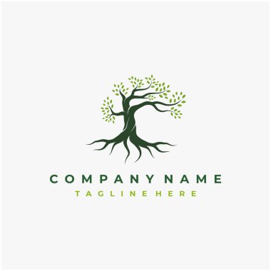 Canlı ağaç logosu tasarımı, ağaç ve kök vektörü. Yaşam ağacı logosu tasarımı ilham verici.