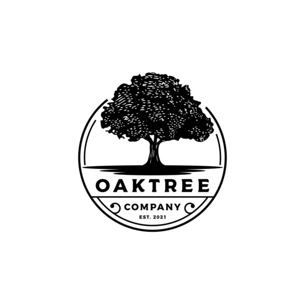 Ročník Retro Emblem Dub Banyan Maple Tree Service Logo Design — Stockový vektor