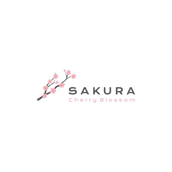 Sakura Logo Vektör Çizimi Japon Kiraz Çiçeği Logo Tasarımı Telifsiz Stok Vektörler