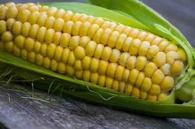 Taze sarı mısır kullanıma hazır