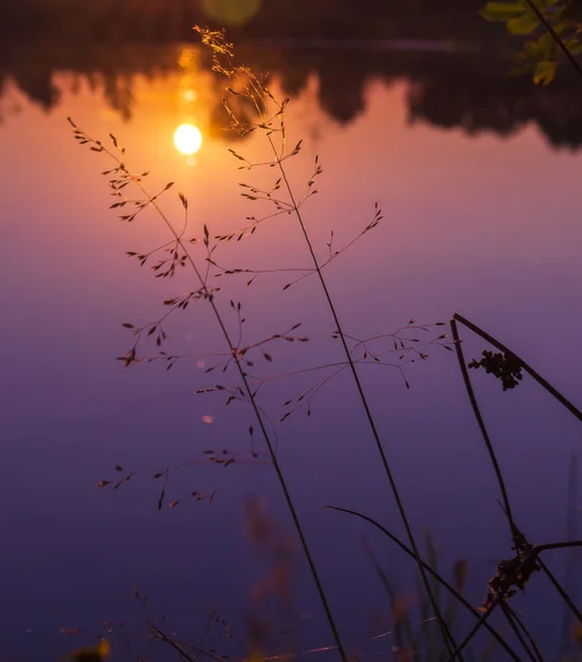 Au tarif du soir — Photo