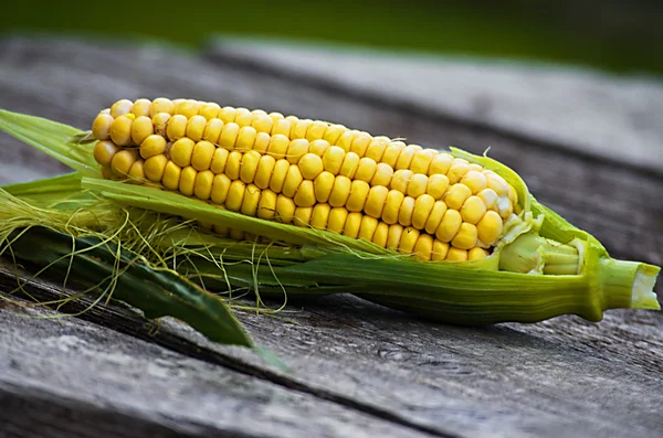 Frischer gelber Mais gebrauchsfertig — Stockfoto