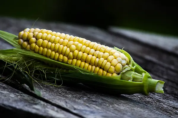 Čerstvé žluté kukuřice připravena k použití — Stock fotografie