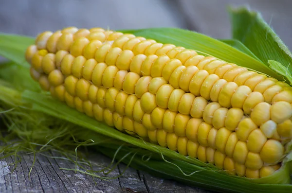 Jagung kuning segar siap digunakan — Stok Foto