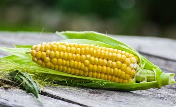 Čerstvé žluté kukuřice připravena k použití — Stock fotografie