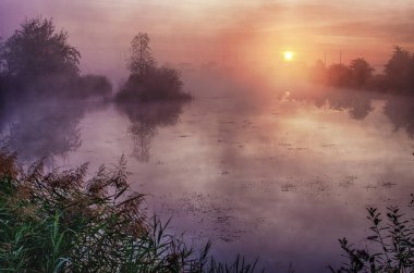 Gün doğumu tüm gün enerji için doğada dinlenmek için harika bir zamandır.