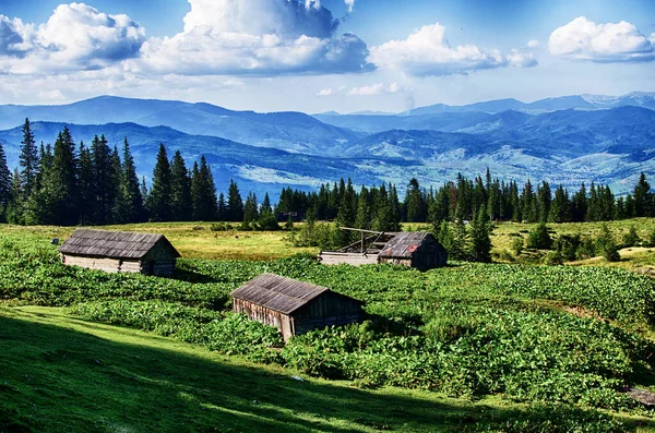 Berge Sind Jeder Jahreszeit Ein Toller Trekking Urlaub — Stockfoto