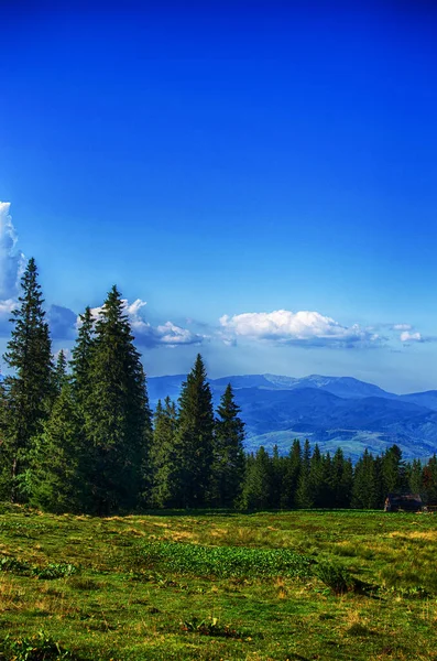 Montagne Sono Una Grande Vacanza Trekking Qualsiasi Periodo Dell Anno — Foto Stock