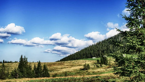 Berge Sind Jeder Jahreszeit Ein Toller Trekking Urlaub — Stockfoto