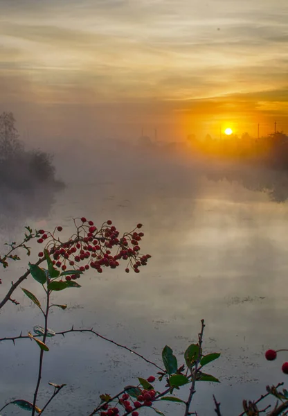 Sonnenaufgang Ist Eine Großartige Zeit Der Natur Entspannen Und Energie — Stockfoto