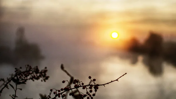 Sonnenaufgang Ist Eine Großartige Zeit Der Natur Entspannen Und Energie — Stockfoto