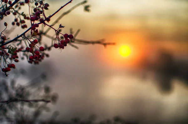 Lever Soleil Est Bon Moment Pour Détendre Dans Nature Pour — Photo