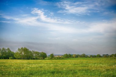 İyice dinlenmek ya da mısır gevreği ekmek için yeşil çimenli sınırsız tarla