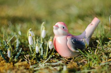 Küçük ilkbahar çiçekleri 8 Mart tatili için baharda açık havada çiçek açar.