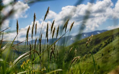 Dağlar yılın her zamanında harika bir yürüyüş tatilidir.