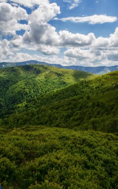 Dağlar yılın her zamanında harika bir yürüyüş tatilidir.