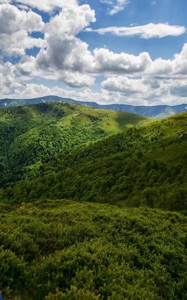 Dağlar yılın her zamanında harika bir yürüyüş tatilidir.