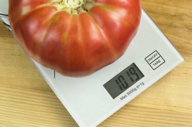 Domates (öküz kalp) büyük 