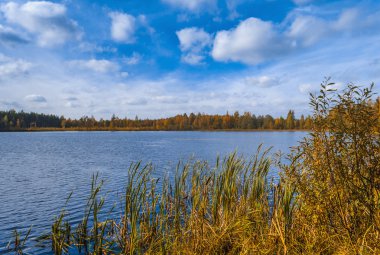 Parlak güneş sonbahar günü