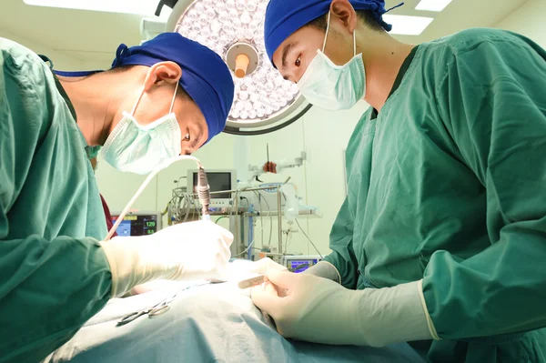 Two veterinarian surgeons in operating room — Stock Photo, Image