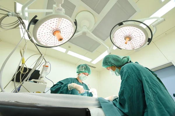 Dois cirurgiões veterinários na sala de operações — Fotografia de Stock