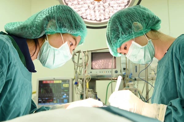 Dos veterinarios en quirófano —  Fotos de Stock