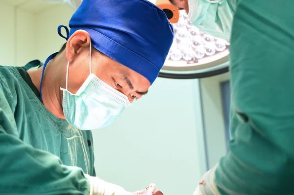 Dois cirurgiões veterinários na sala de operações — Fotografia de Stock