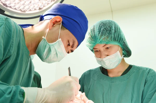 Dos veterinarios en quirófano — Foto de Stock