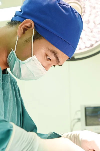 Ветеринарная хирургия в операционной — стоковое фото