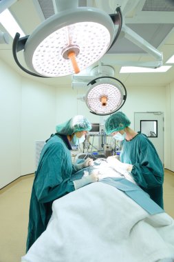 Ameliyathanede iki veteriner cerrah var.