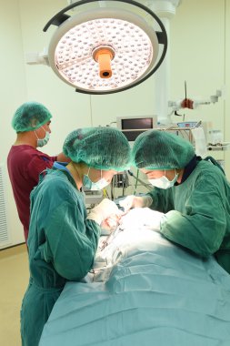 Veteriner Cerrahi operasyon odasında grup