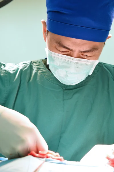Veterinär kirurgi i drift rum — Stockfoto