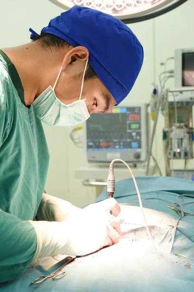 Cirugía veterinaria en sala de operaciones — Foto de Stock