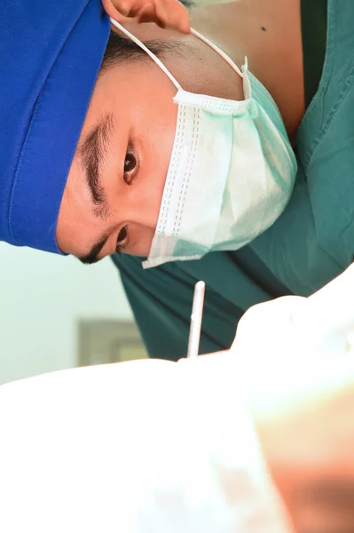 Operasi dokter hewan di ruang operasi — Stok Foto