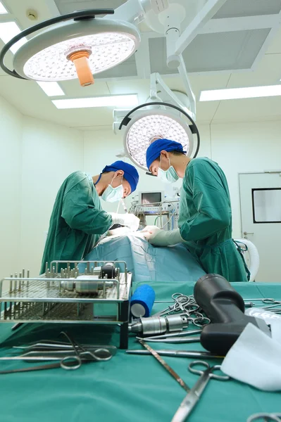 Dois cirurgiões veterinários na sala de operações — Fotografia de Stock