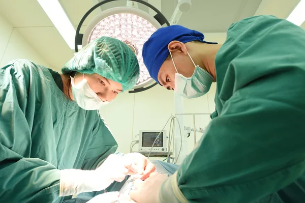 Dois cirurgiões veterinários na sala de operações — Fotografia de Stock