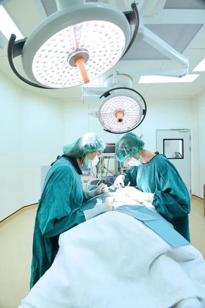 Dois cirurgiões veterinários na sala de operações — Fotografia de Stock