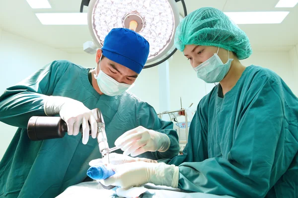 Dois cirurgiões veterinários na sala de operações — Fotografia de Stock