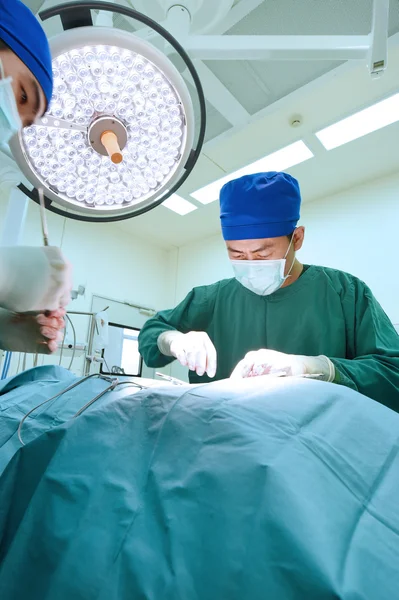 Dois cirurgiões veterinários na sala de operações — Fotografia de Stock