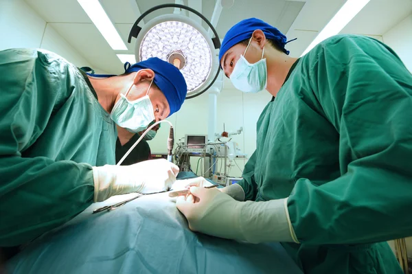 Два ветеринарных хирурга в операционной — стоковое фото