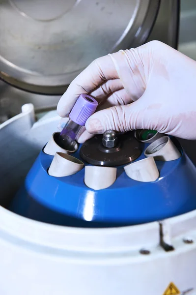 Sample storage tubes in laboratory — Stock Photo, Image