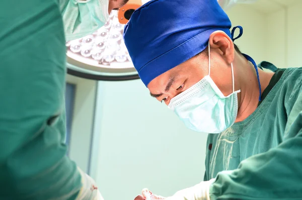 Cirugía veterinaria en sala de operaciones — Foto de Stock