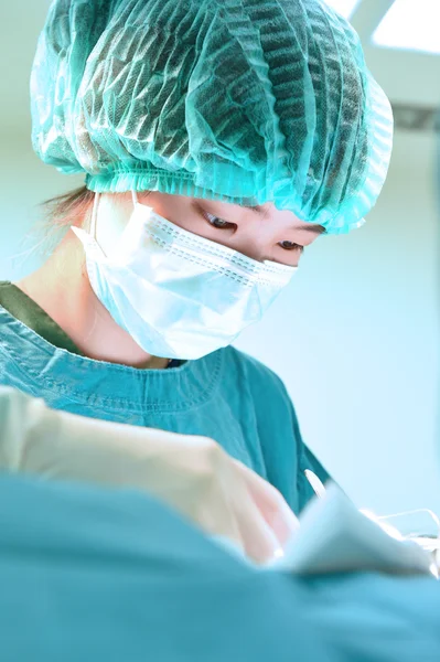 Veterinarian surgery in operation room — Stock Photo, Image