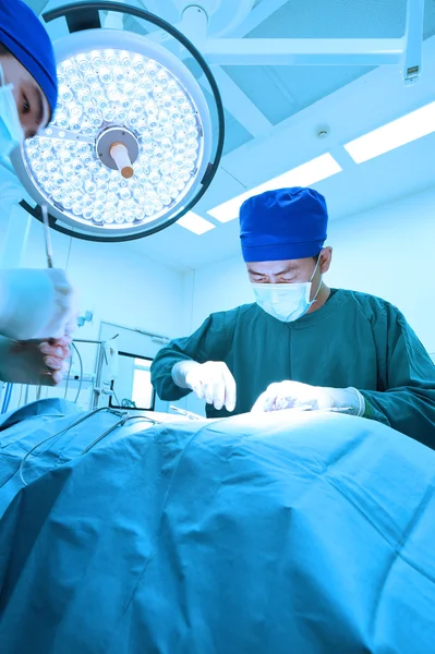 Twee dierenartsen in de operatiekamer Stockfoto