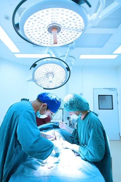 Grupo de cirurgia veterinária na sala de operação — Fotografia de Stock