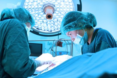 Ameliyathanede iki veteriner cerrah var.