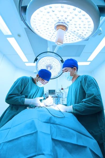 Dois cirurgiões veterinários na sala de operações — Fotografia de Stock