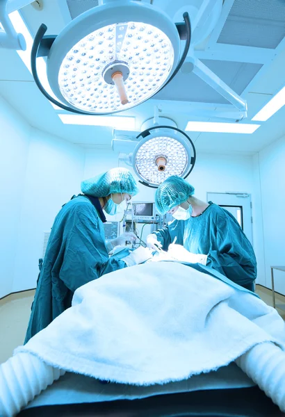 Dois cirurgiões veterinários na sala de operações — Fotografia de Stock